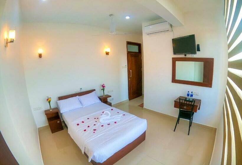 标准单人间, The Den 23