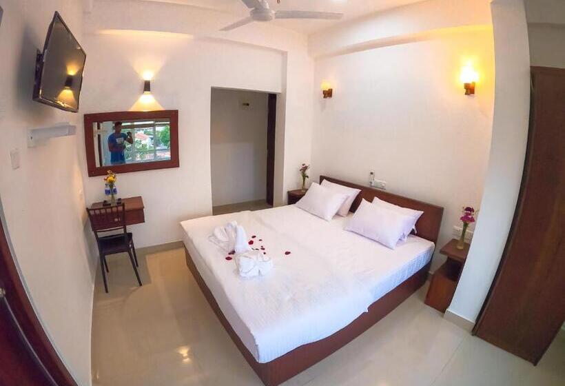 标准单人间, The Den 23