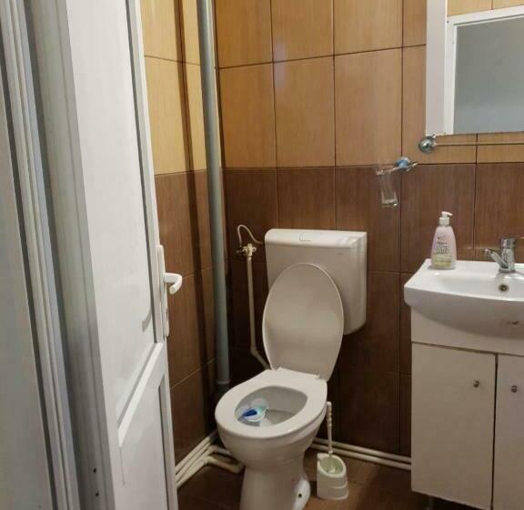 标准单人间, Pensiunea Lucica