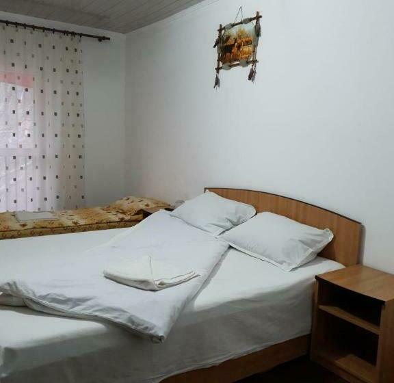 标准单人间, Pensiunea Lucica