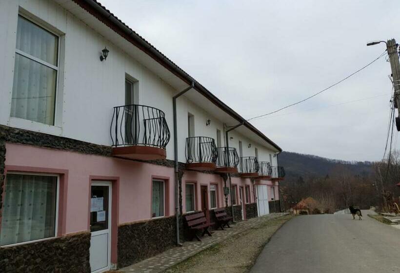 标准间, Pensiunea Lucica