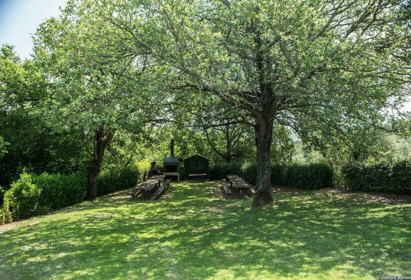 Апартаменты 1 Спальня Нижний Этаж, Agriturismo La Papessa   Fattoria Montecchio