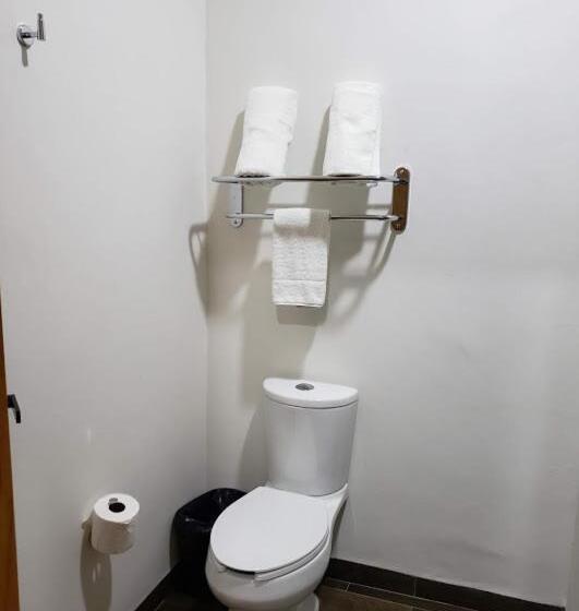 带大床的套房, Plaza Matamoros