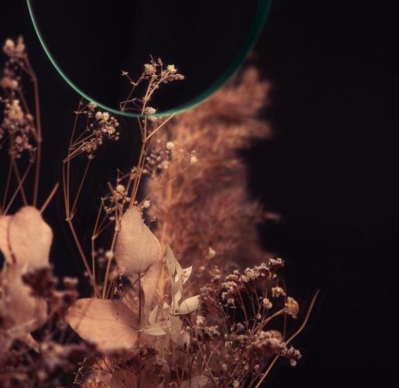 غرفة سوبيريور, Boutique Hotel La Cabane