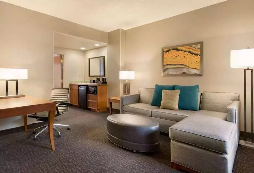 اتاق استاندارد با تخت بزرگ, Embassy Suites Northwest Arkansas   Hotel, Spa & Convention