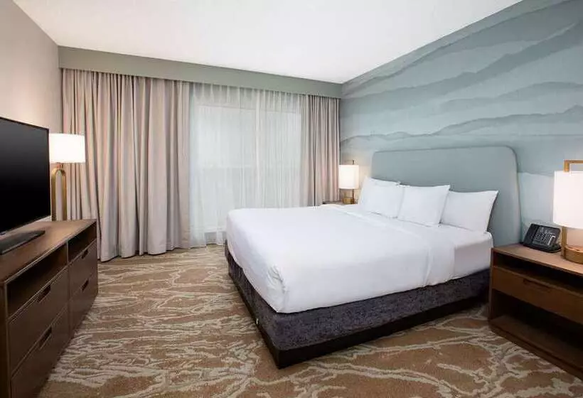 اتاق استاندارد با تخت بزرگ, Embassy Suites Northwest Arkansas   Hotel, Spa & Convention