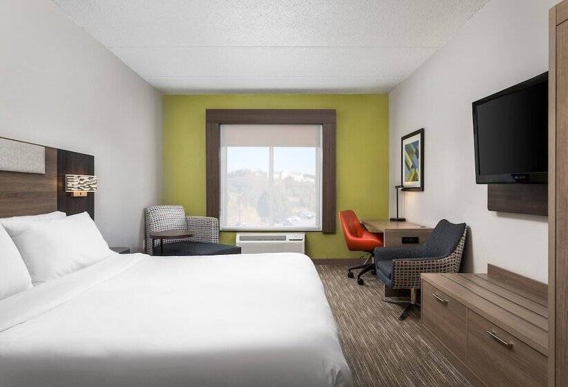 اتاق استاندارد, Holiday Inn Express Hotel & Suites Chattanooga Lookout Mountain, An Ihg