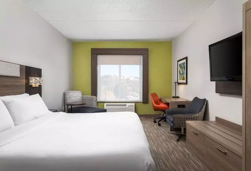 スタンダードルーム, Holiday Inn Express Hotel & Suites Chattanooga Lookout Mountain, An Ihg