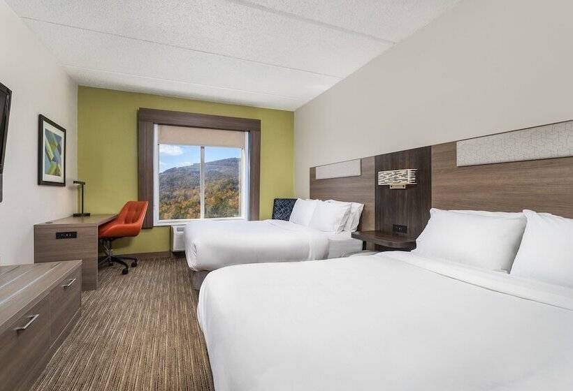 اتاق استاندارد, Holiday Inn Express Hotel & Suites Chattanooga Lookout Mountain, An Ihg