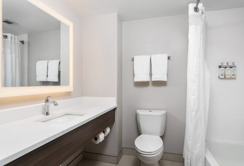 سوییت, Holiday Inn Express Hotel & Suites Chattanooga Lookout Mountain, An Ihg