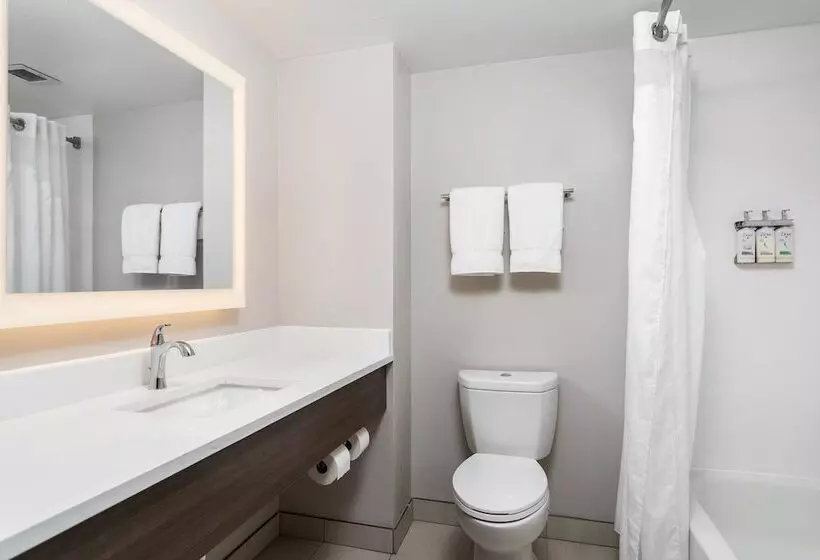 スイート, Holiday Inn Express Hotel & Suites Chattanooga Lookout Mountain, An Ihg
