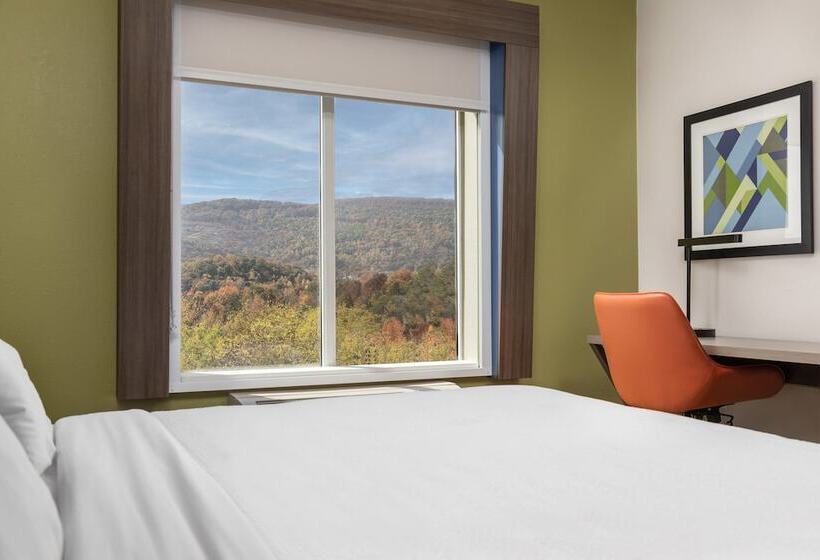 سوییت, Holiday Inn Express Hotel & Suites Chattanooga Lookout Mountain, An Ihg