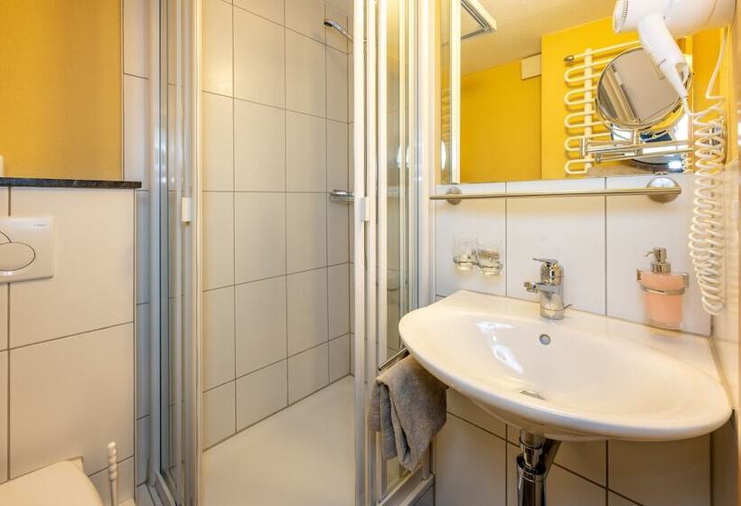 Budget Værelse, Aktiv Hotel & Spa Hannigalp