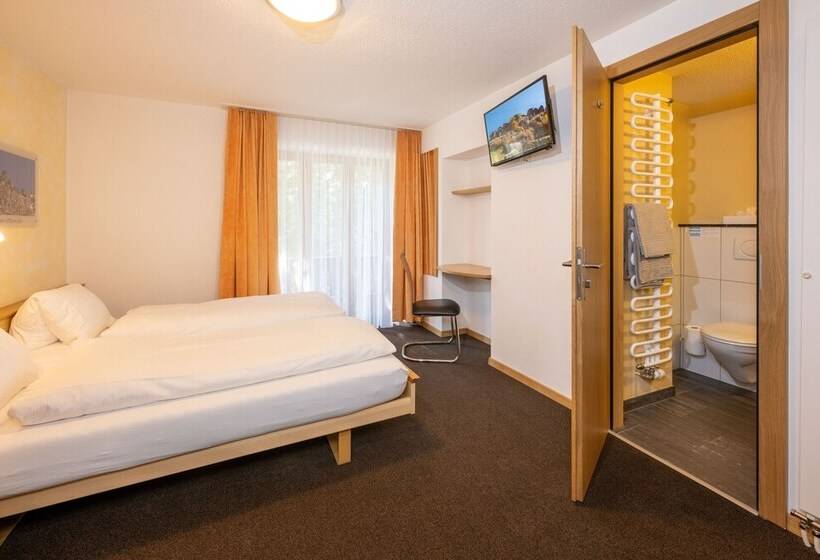 Номер Economy, Aktiv Hotel & Spa Hannigalp