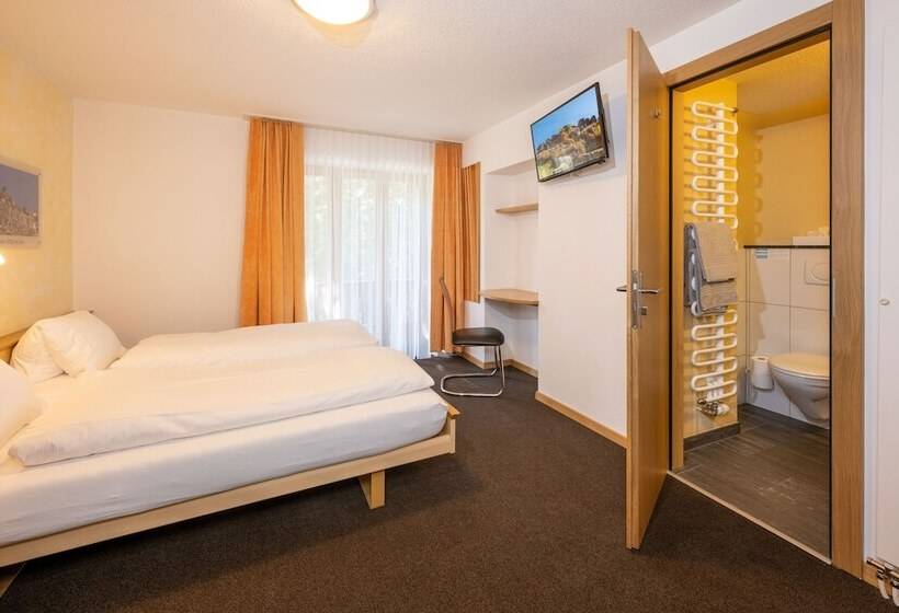 Budget Værelse, Aktiv Hotel & Spa Hannigalp