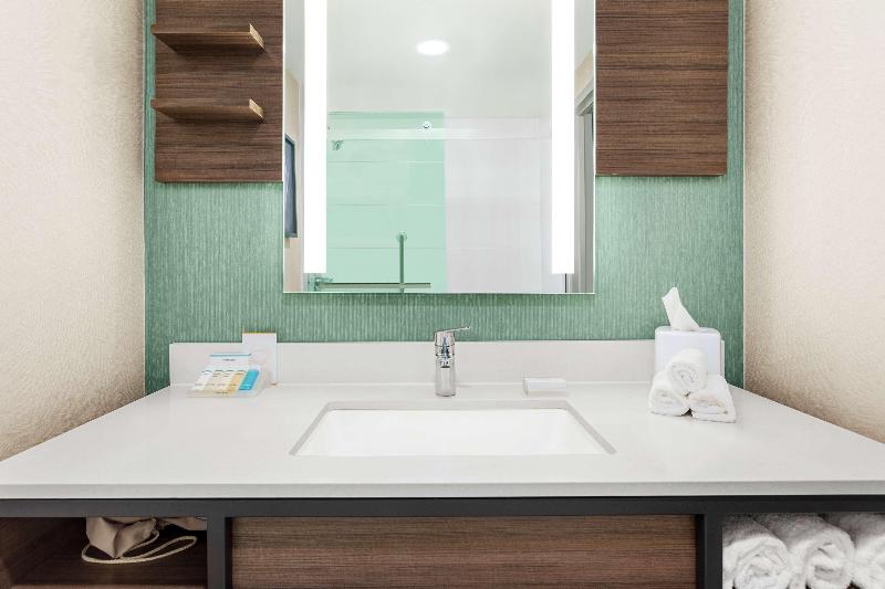 חדר פרמיום, Hilton Garden Inn Allentown Bethlehem Airport