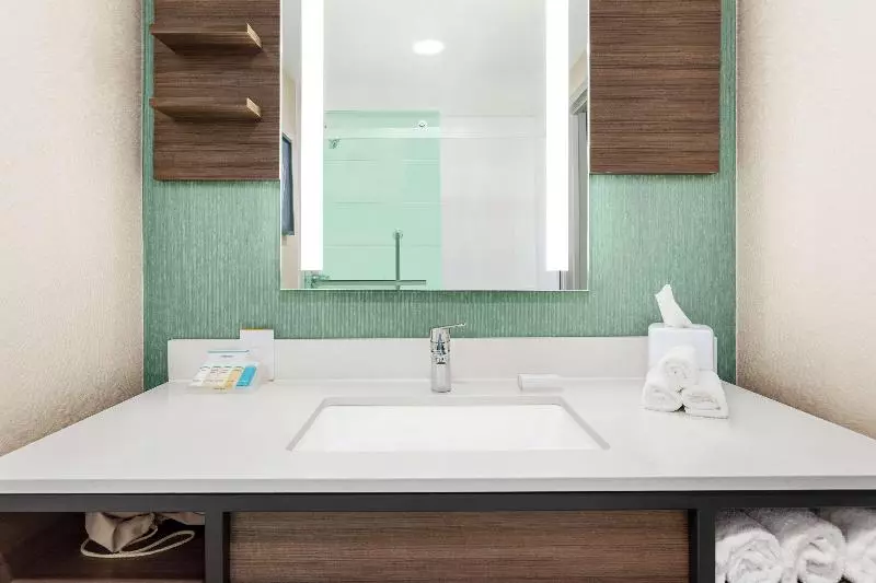 اتاق استاندارد با تخت بزرگ, Hilton Garden Inn Allentown Bethlehem Airport