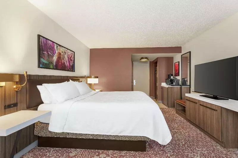 اتاق استاندارد با تخت بزرگ, Hilton Garden Inn Allentown Bethlehem Airport