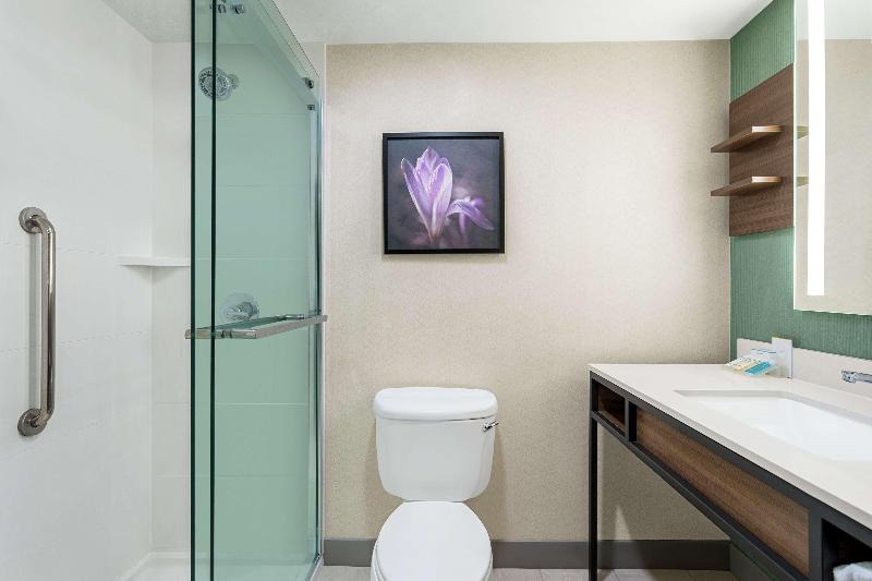 חדר סטנדרט עם מיטת קינג, Hilton Garden Inn Allentown Bethlehem Airport