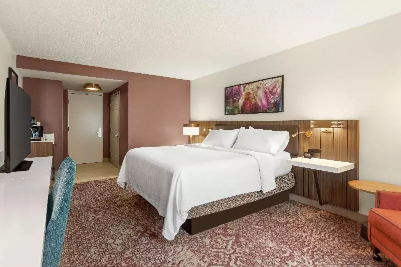اتاق استاندارد با تخت بزرگ, Hilton Garden Inn Allentown Bethlehem Airport