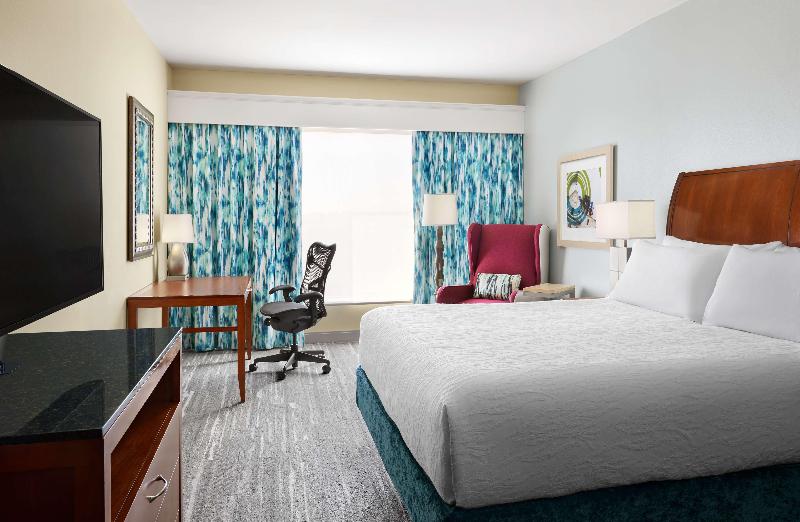 스탠다드 룸 킹사이즈 침대, Hilton Garden Inn Dallas Richardson