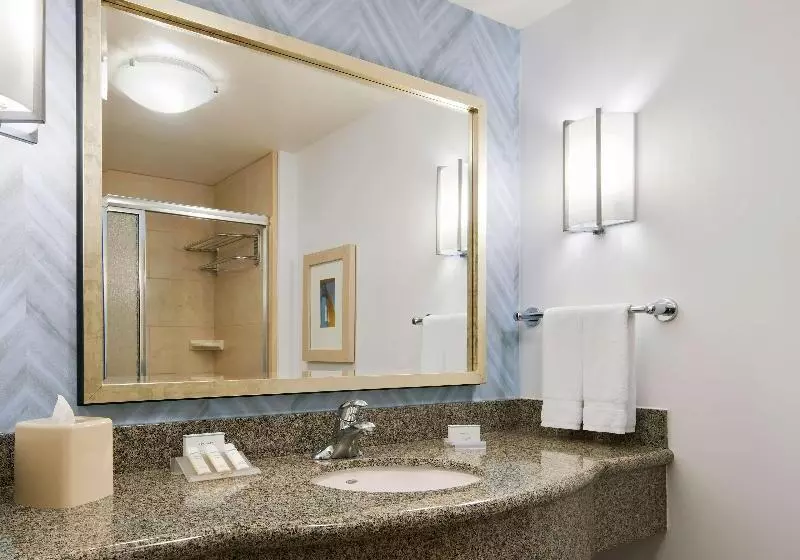 キングサイズベッドのスタンダードルーム, Hilton Garden Inn Dallas Richardson