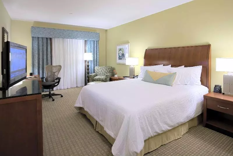 キングサイズベッドのスタンダードルーム, Hilton Garden Inn Dallas Richardson