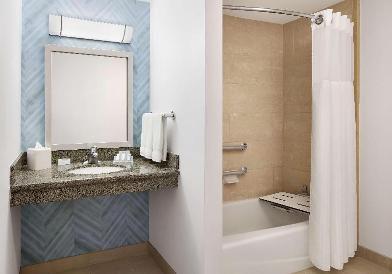 스탠다드 룸 킹사이즈 침대, Hilton Garden Inn Dallas Richardson