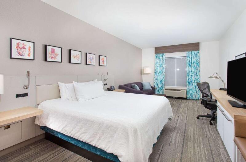 带大床的豪华间, Hilton Garden Inn Knoxville West/cedar Bluff