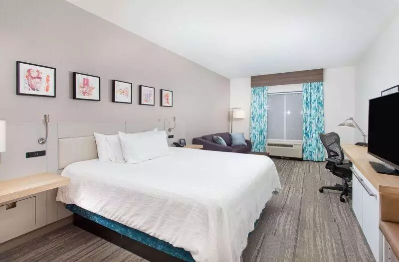 キングサイズベッドのデラックスルーム, Hilton Garden Inn Knoxville West/cedar Bluff