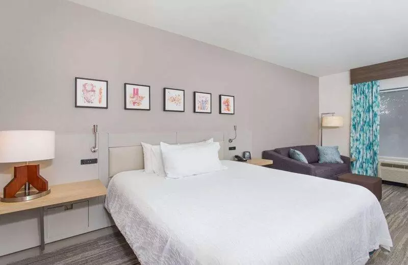 キングサイズベッドのデラックスルーム, Hilton Garden Inn Knoxville West/cedar Bluff