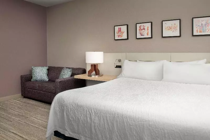 キングサイズベッドのジュニアスイート, Hilton Garden Inn Knoxville West/cedar Bluff