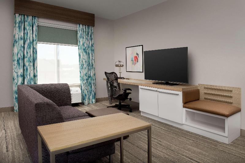 带大床的小型套房, Hilton Garden Inn Knoxville West/cedar Bluff