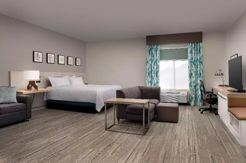 キングサイズベッドのジュニアスイート, Hilton Garden Inn Knoxville West/cedar Bluff