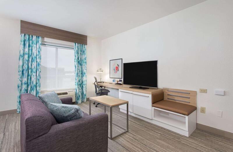 带大床的小型套房, Hilton Garden Inn Knoxville West/cedar Bluff