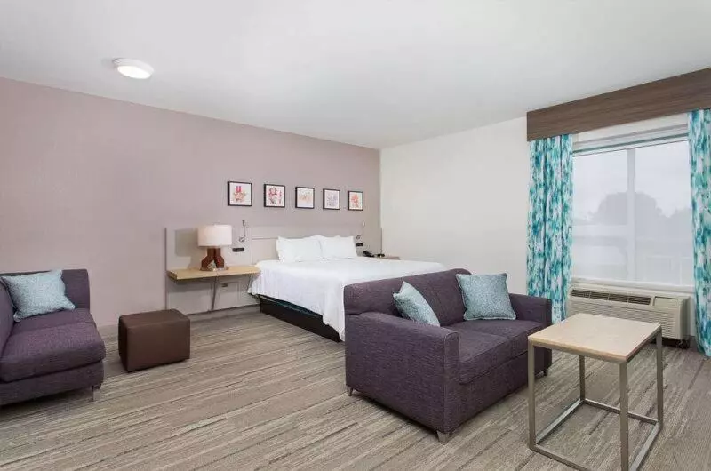 キングサイズベッドのジュニアスイート, Hilton Garden Inn Knoxville West/cedar Bluff