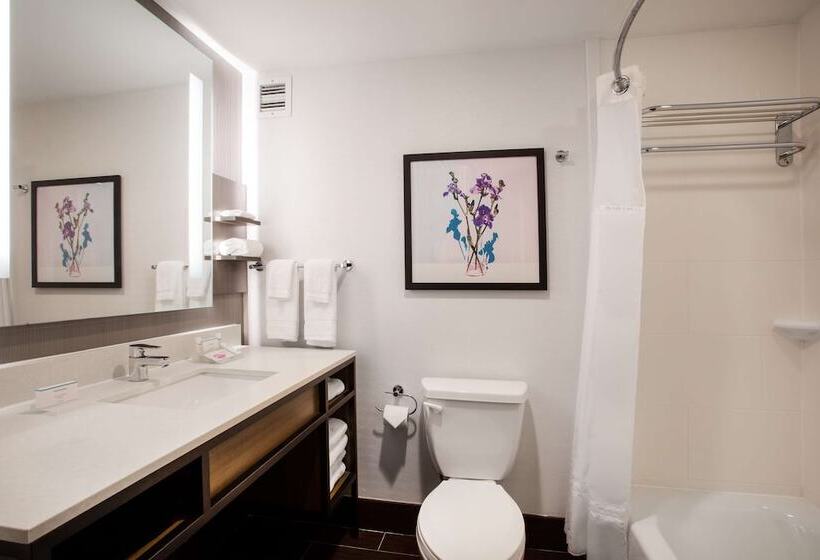 标准间, Hilton Garden Inn Nashville/smyrna
