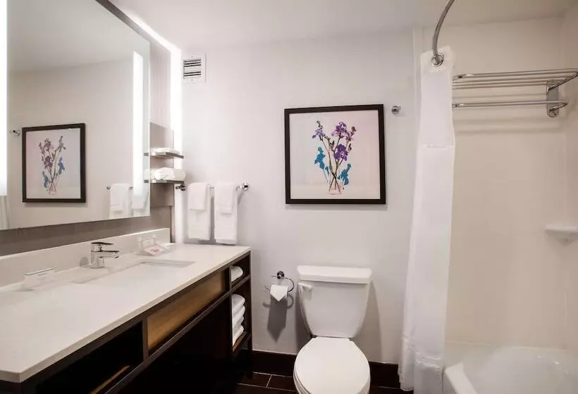 スタンダードルーム, Hilton Garden Inn Nashville/smyrna