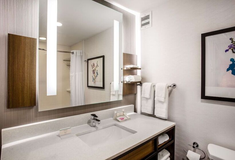 غرفة قياسية, Hilton Garden Inn Nashville/smyrna