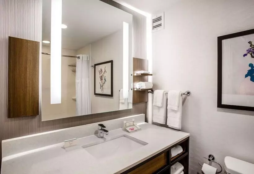 スタンダードルーム, Hilton Garden Inn Nashville/smyrna