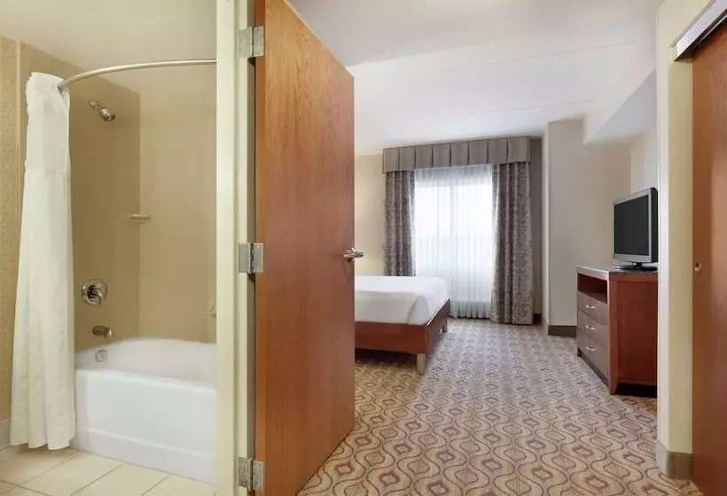 キングサイズベッドのスイートルーム, Hilton Garden Inn Solomons