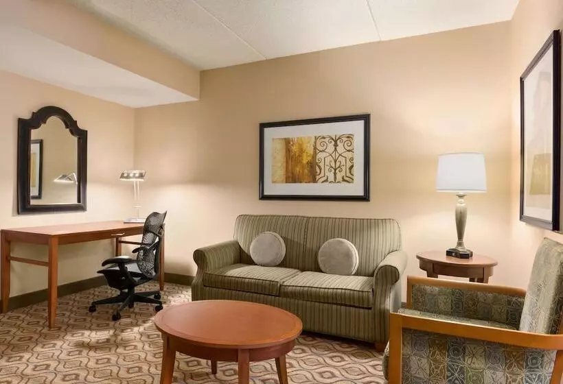 キングサイズベッドのスイートルーム, Hilton Garden Inn Solomons