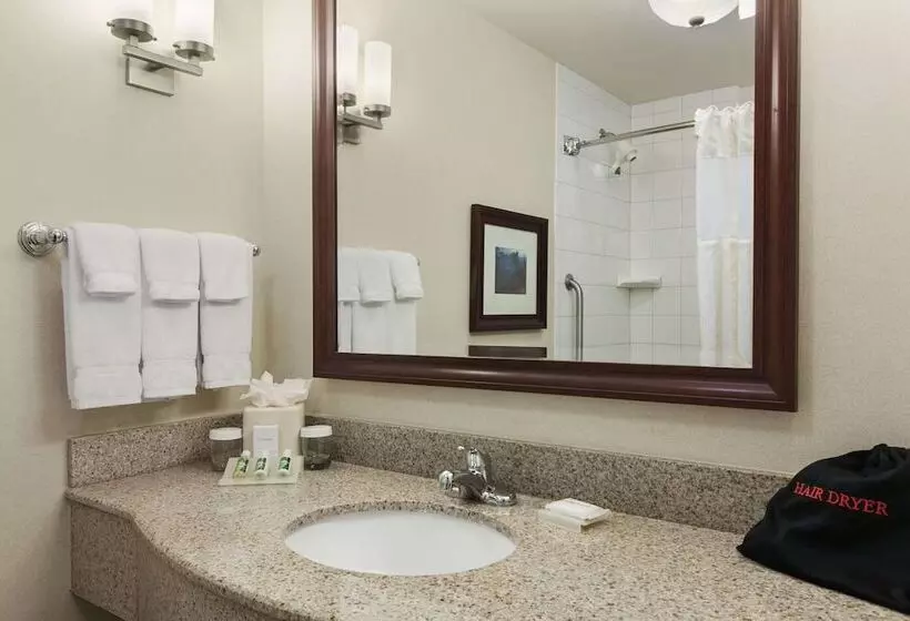 اتاق لوکس, Hilton Garden Inn Wisconsin Dells