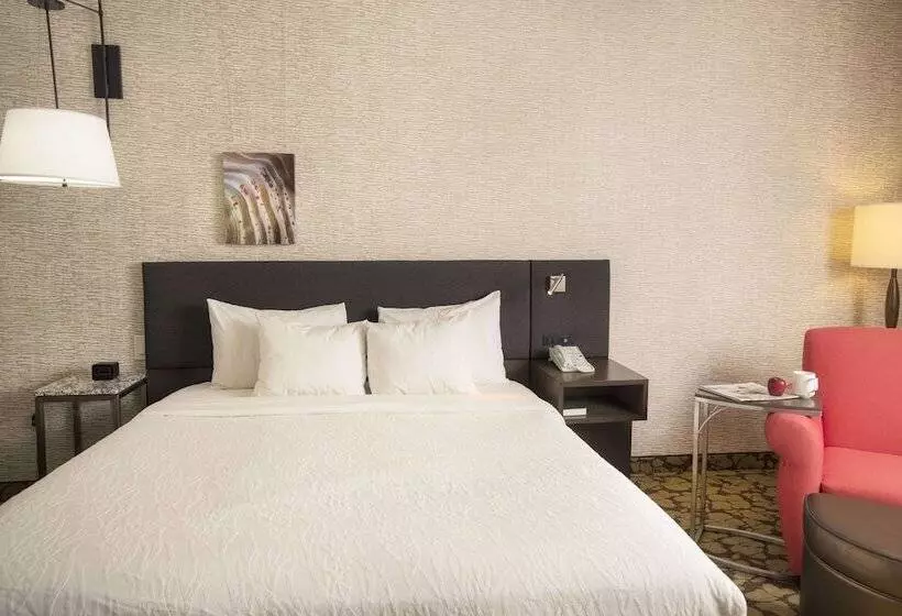 اتاق لوکس, Hilton Garden Inn Wisconsin Dells