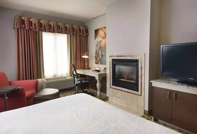اتاق لوکس, Hilton Garden Inn Wisconsin Dells