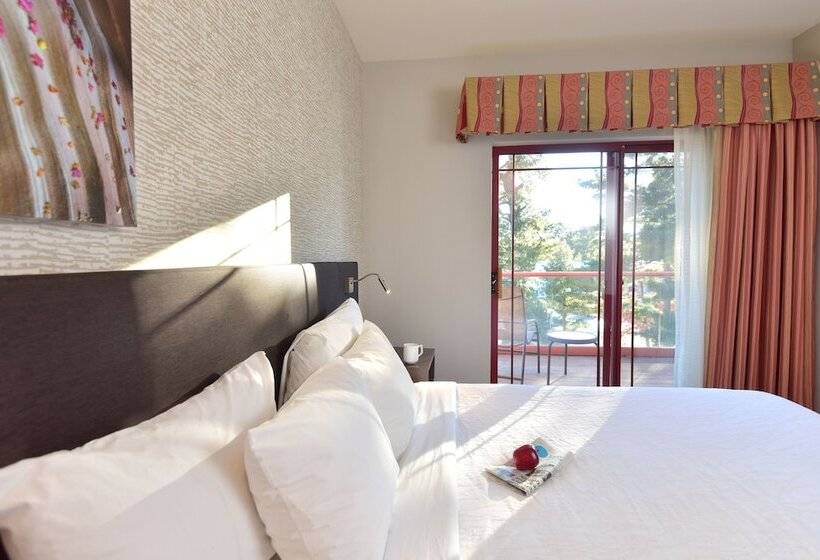 Номер Deluxe, Hilton Garden Inn Wisconsin Dells