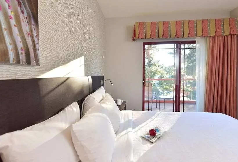 اتاق لوکس, Hilton Garden Inn Wisconsin Dells