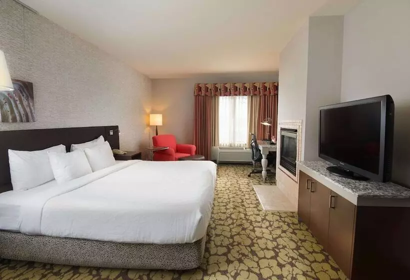 اتاق لوکس, Hilton Garden Inn Wisconsin Dells