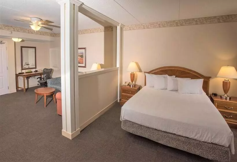 ジュニアスイート, Hilton Garden Inn Wooster