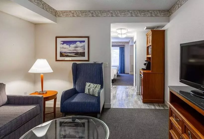 ジュニアスイート, Hilton Garden Inn Wooster